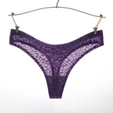 Thong Lace Mesh Sexy Flora Underwear