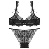 Panty Sets Transparent Sexy Mesh Embroidery Underwear