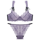 Panty Sets Transparent Sexy Mesh Embroidery Underwear