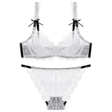 Panty Sets Transparent Sexy Mesh Embroidery Underwear