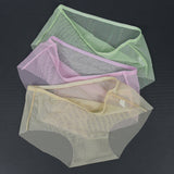 Transparent Panties