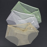 Transparent Panties