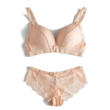 Transparent Panty Set Push Up Wire Free Underwear